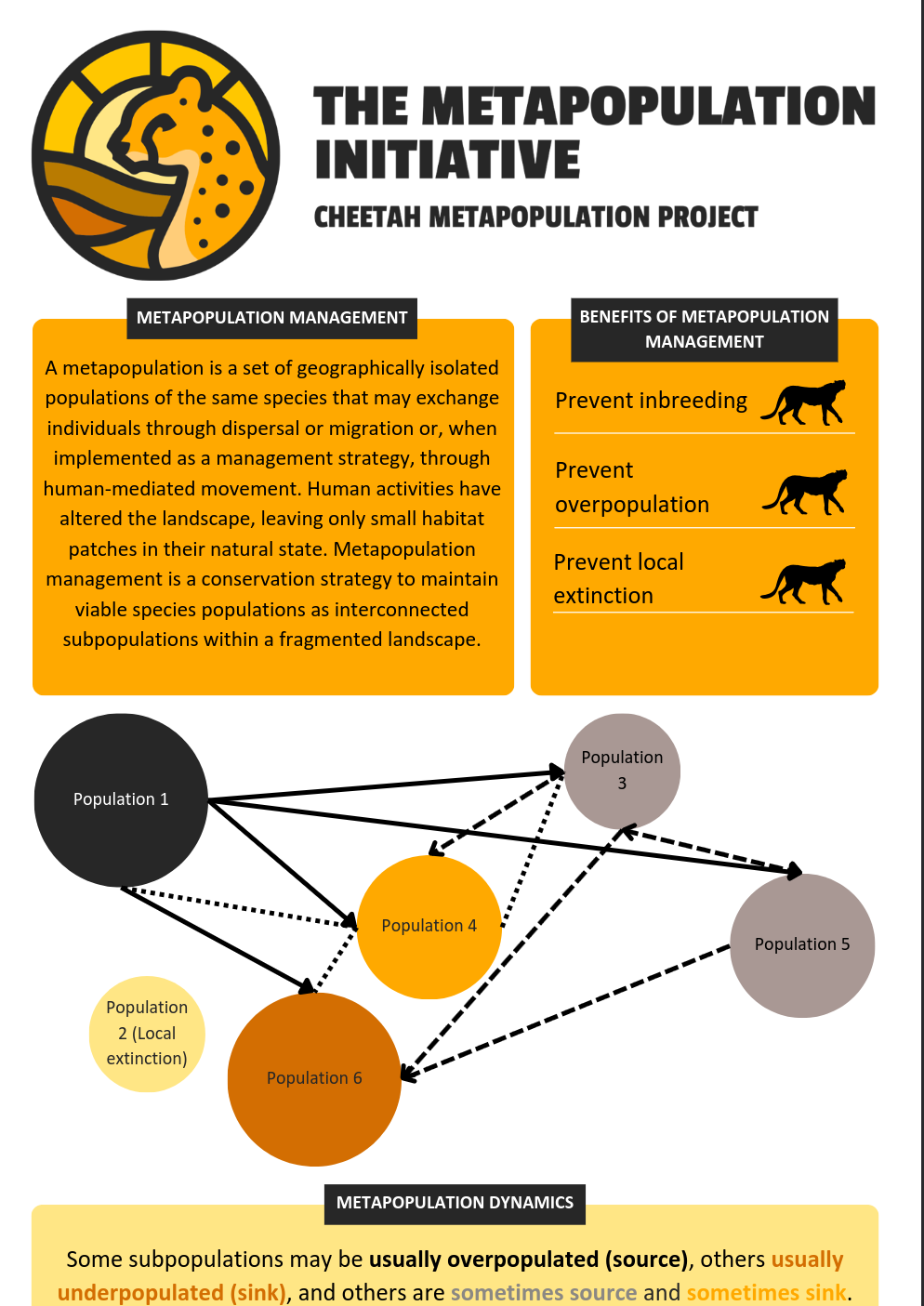 Thumbnail for Management Infographic                                                                              