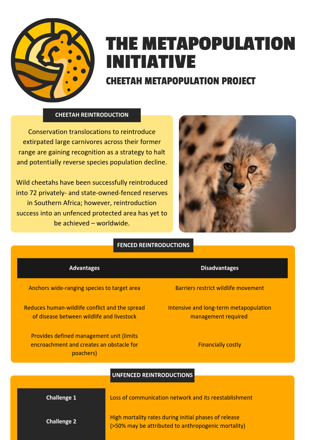 Thumbnail for Reintroduction Infographic                                                                          